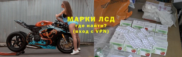 гидра Абаза