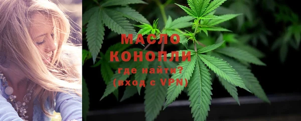 гидра Абаза