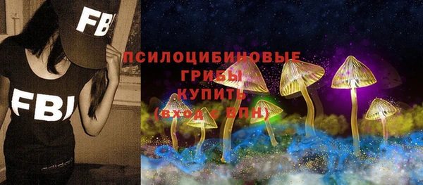 PSILOCYBIN Абинск
