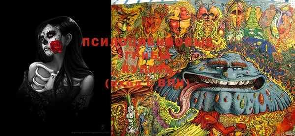 PSILOCYBIN Абинск