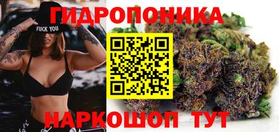 ПСИЛОЦИБИНОВЫЕ ГРИБЫ Гудермес