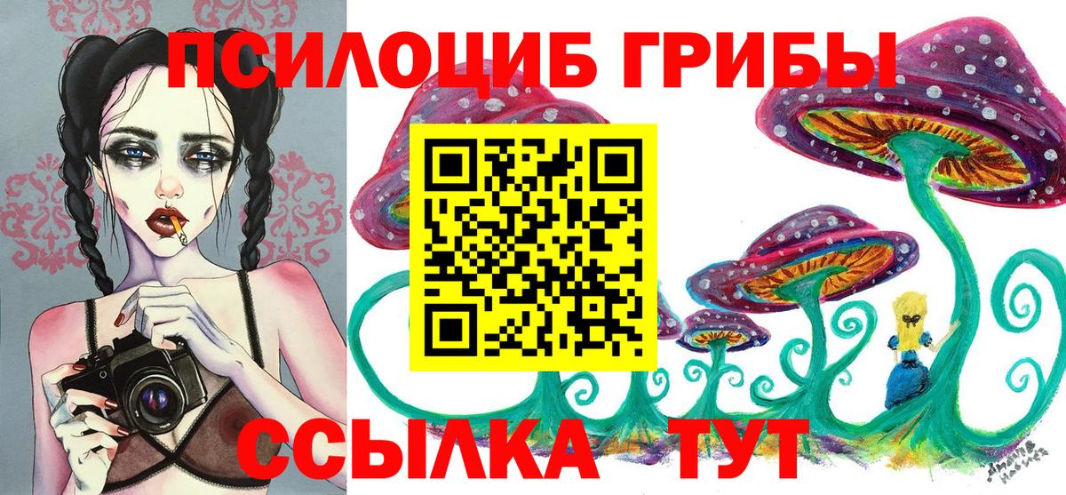 Владикавказ  купить закладку  Вход с VPN  Галлюциногенные грибы мицелий  Псилоцибиновые грибы GOLDEN TEACHER 