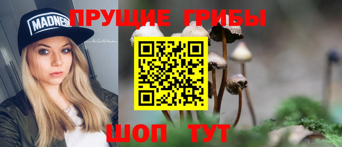 Галлюциногенные грибы GOLDEN TEACHER Владикавказ